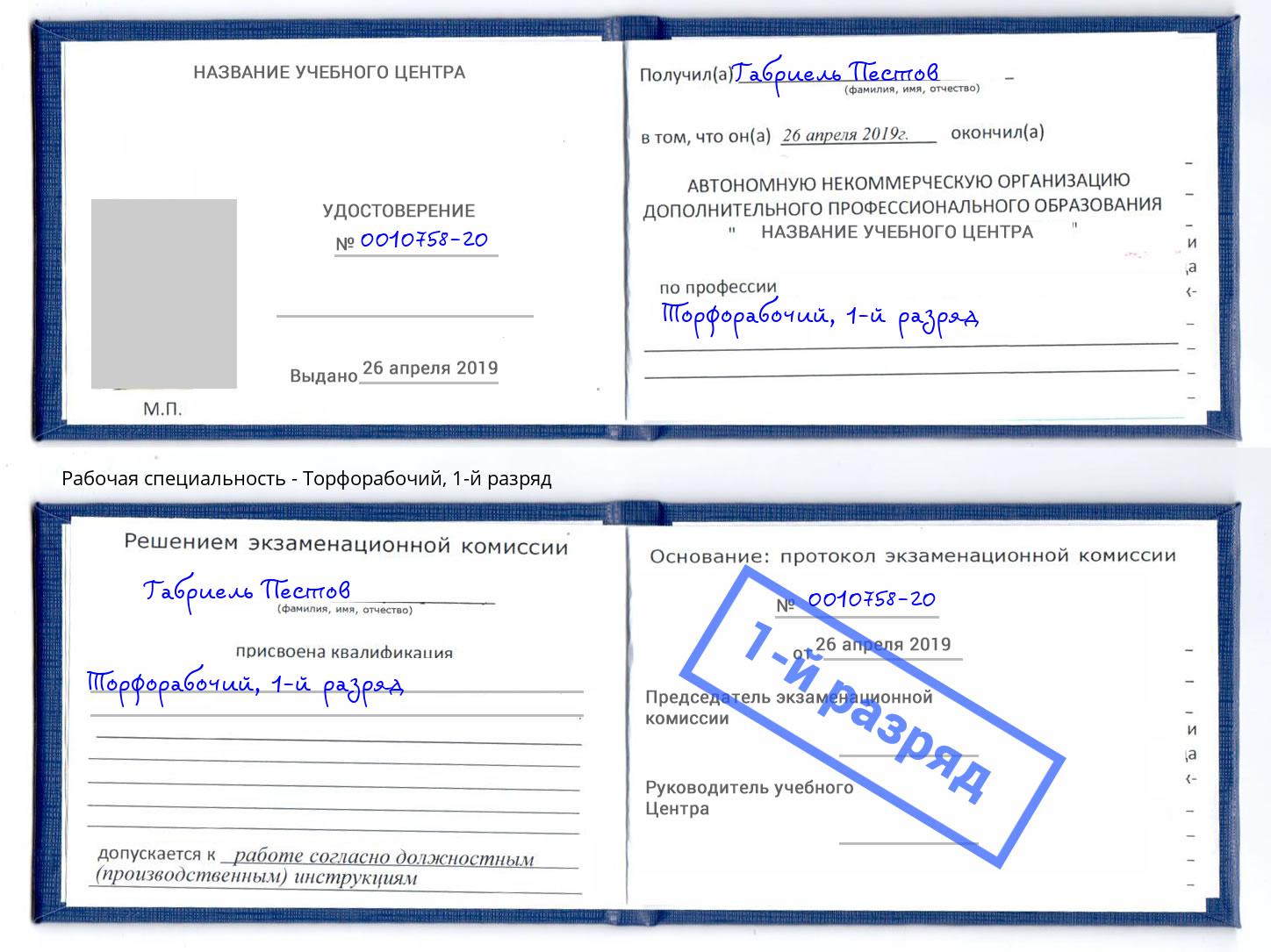 корочка 1-й разряд Торфорабочий Сальск