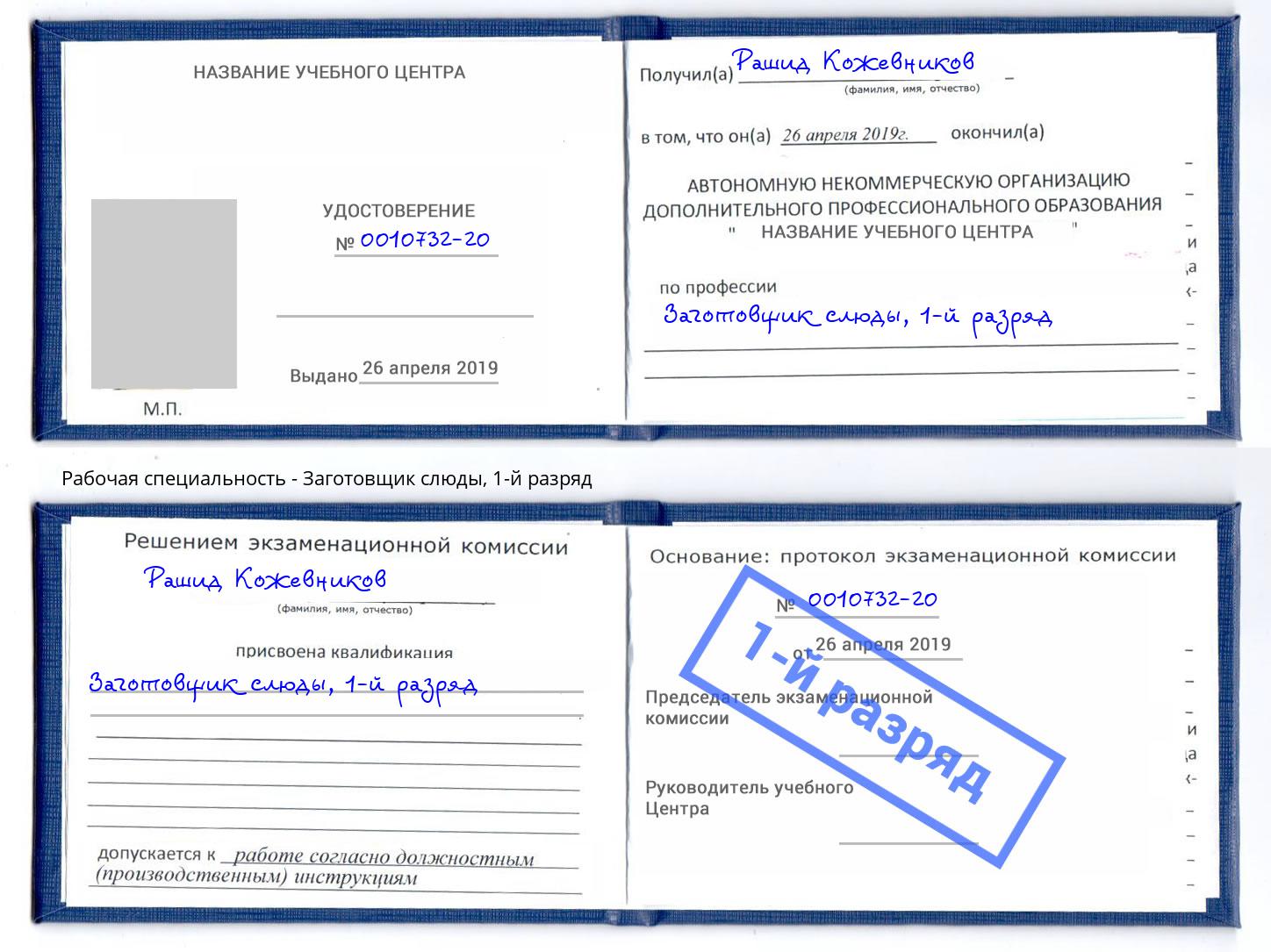 корочка 1-й разряд Заготовщик слюды Сальск